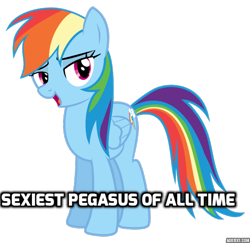 Size: 618x600 | Tagged: safe, edit, rainbow dash, pegasus, pony, bedroom eyes, caption, image macro, meme, sexiest pony alive, simple background, solo, text, transparent background, vector