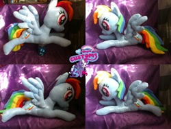 Size: 1024x768 | Tagged: safe, artist:angel99percent, derpibooru import, rainbow dash, irl, photo, plushie, prone, solo