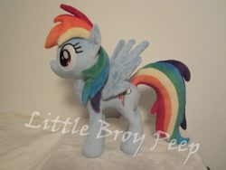 Size: 800x600 | Tagged: safe, artist:little-broy-peep, derpibooru import, rainbow dash, irl, photo, plushie, solo