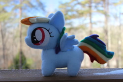 Size: 1600x1067 | Tagged: safe, artist:emberfallplush, derpibooru import, rainbow dash, blank flank, chibi, irl, photo, plushie, solo