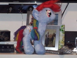 Size: 3264x2448 | Tagged: safe, artist:cinnamon-scroll, derpibooru import, rainbow dash, irl, photo, plushie, solo