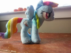 Size: 1024x768 | Tagged: safe, artist:coonhoundbetty, derpibooru import, rainbow dash, irl, photo, plushie, solo