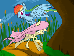 Size: 2500x1900 | Tagged: safe, artist:legendarymemory, fluttershy, rainbow dash, pegasus, pony, blue coat, female, mare, multicolored mane, pink mane, wings, yellow coat