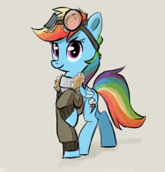 Size: 456x473 | Tagged: artist needed, safe, rainbow dash, pegasus, pony, bomber jacket, cute, goggles, solo