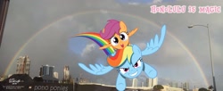 Size: 3199x1310 | Tagged: safe, artist:newportmuse, derpibooru import, rainbow dash, scootaloo, facebook header, hawaii, haywaii, honolulu, irl, photo, ponies in real life, rainbow, scootaloo can fly, scootalove, teary eyes, vector