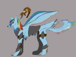 Size: 1600x1200 | Tagged: safe, artist:z-010, derpibooru import, rainbow dash, dog, armor, dogified, helmet, solo, species swap