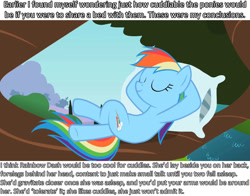 Size: 1280x1002 | Tagged: safe, screencap, rainbow dash, pegasus, pony, analysis, bronybait, cuddle studies, cuddling, snuggling, solo, text