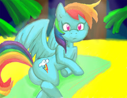 Size: 1121x863 | Tagged: safe, artist:redanon, rainbow dash, pegasus, pony, beach, beach towel, plot, solo