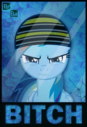 Size: 989x1442 | Tagged: safe, artist:flare-chaser, rainbow dash, pegasus, pony, bitch, breaking bad, crystal meth, jesse pinkman, meth, solo