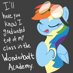 Size: 1600x1600 | Tagged: safe, artist:notenoughapples, rainbow dash, pegasus, pony, dialogue, navy seal copypasta, solo, wonderbolts