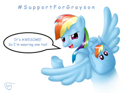 Size: 1000x750 | Tagged: safe, artist:livriel, rainbow dash, pegasus, pony, backpack, dialogue, grayson bruce, mouthpiece, solo