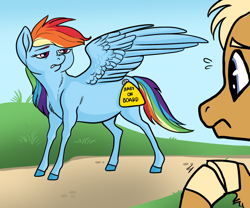 Size: 1024x853 | Tagged: safe, artist:loryska, derpibooru import, quibble pants, rainbow dash, pegasus, pony, male, natural hair color, preggo dash, pregnant, quibbledash, rainbow dash is not amused, shipping, sticker, story included, straight, unamused, worried