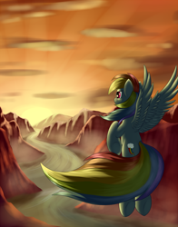 Size: 1650x2100 | Tagged: safe, artist:grennadder, rainbow dash, pegasus, pony, detailed background, female, mare, solo