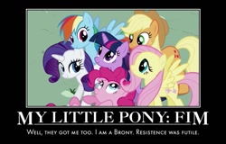 Size: 659x422 | Tagged: safe, derpibooru import, edit, edited screencap, screencap, applejack, fluttershy, pinkie pie, rainbow dash, rarity, twilight sparkle, earth pony, pegasus, pony, unicorn, friendship is magic, demotivational poster, hello 2011, mane six, meme