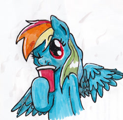 Size: 900x877 | Tagged: safe, artist:digiral, rainbow dash, pegasus, pony, bust, cup, drinking, one eye closed, solo, spread wings, traditional art, wink