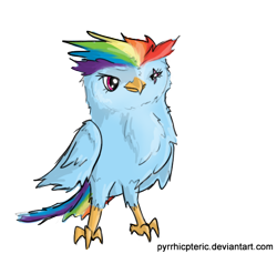 Size: 568x521 | Tagged: safe, artist:pyrrhicpteric, rainbow dash, bird, owl, birdified, crossover, legend of the guardians, legend of the guardians: the owls of ga'hoole, solo, species swap