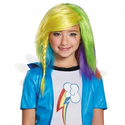 Size: 650x650 | Tagged: safe, derpibooru import, rainbow dash, equestria girls, irl, photo, target demographic, wig