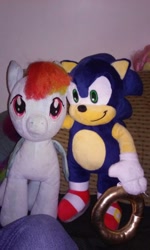 Size: 672x1120 | Tagged: safe, artist:yoshiangemon, derpibooru import, rainbow dash, build-a-bear, crossover, cute, irl, photo, plushie, sonic the hedgehog, sonic the hedgehog (series)