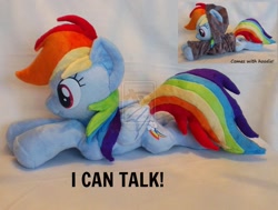 Size: 1027x777 | Tagged: dead source, safe, artist:epicrainbowcrafts, rainbow dash, clothes, cute, deviantart watermark, hoodie, irl, obtrusive watermark, photo, plushie, watermark