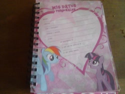 Size: 2048x1536 | Tagged: safe, rainbow dash, twilight sparkle, pegasus, pony, agenda, book, diary, journal, merchandise, spanish