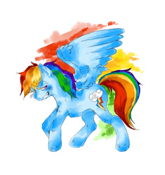 Size: 705x750 | Tagged: safe, artist:the-blue-jay, rainbow dash, pegasus, pony, blue coat, female, mare, multicolored mane, pixiv, solo