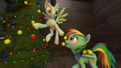 Size: 1024x576 | Tagged: safe, artist:johnnyhorse, derpibooru import, rainbow dash, soarin', pegasus, pony, 3d, christmas tree, male, shipping, soarindash, straight, tree