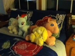 Size: 960x720 | Tagged: safe, rainbow dash, pegasus, pony, rabbit, bed, female, irl, mare, merchandise, plushie, spread wings, wings