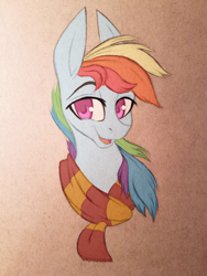 Size: 3024x4032 | Tagged: safe, artist:waterferret, derpibooru import, part of a set, rainbow dash, pegasus, pony, absurd resolution, clothes, crossover, gryffindor, harry potter, scarf, solo, traditional art