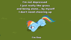 Size: 959x540 | Tagged: safe, rainbow dash, pegasus, pony, caption, denial, grass, image macro, meme, sad, solo