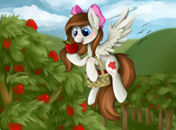 Size: 3000x2218 | Tagged: safe, artist:savannaeve, rainbow dash, oc, pegasus, pony, apple, basket