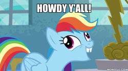 Size: 600x337 | Tagged: safe, derpibooru import, edit, edited screencap, screencap, rainbow dash, pegasus, pony, newbie dash, caption, forthright filly, image macro, meme, solo, spongebob squarepants, squirrel jokes, window, y'all