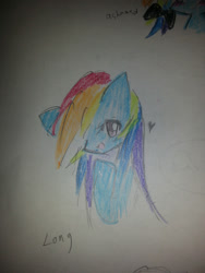 Size: 2448x3264 | Tagged: safe, artist:kuronekofafa1, rainbow dash, pegasus, pony, pixiv, solo, traditional art