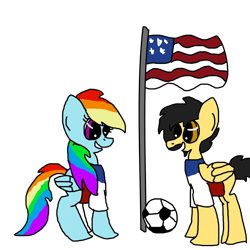 Size: 3000x3000 | Tagged: safe, artist:flowersproutsthepony, rainbow dash, oc, oc:pika, pegasus, pony, fifa, flag, football, united states, world cup, world cup 2014