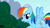 Size: 1280x720 | Tagged: safe, derpibooru import, screencap, rainbow dash, pegasus, pony, sonic rainboom (episode), solo