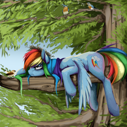 Size: 2500x2500 | Tagged: safe, artist:santagiera, rainbow dash, bird, pegasus, pony, crash, female, frown, grumpy, lying, mare, music notes, nest, outdoors, solo, tree, tree branch, wings down