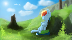 Size: 4000x2250 | Tagged: safe, artist:fuzzyfox11, rainbow dash, pegasus, pony, absurd resolution, grass, leaning, sleeping, solo