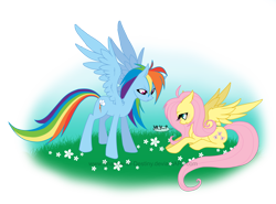 Size: 3483x2575 | Tagged: safe, artist:shadow of destiny, fluttershy, rainbow dash, pegasus, pony, scene interpretation, yay