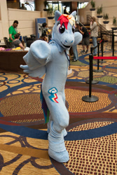 Size: 3378x5061 | Tagged: safe, rainbow dash, human, babscon, cosplay, fursuit, irl, irl human, photo