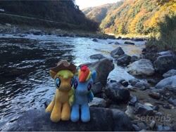 Size: 750x563 | Tagged: safe, artist:setorin5, derpibooru import, applejack, rainbow dash, 4de, appledash, irl, japan, photo, plushie, ponies around the world, river, rock, water