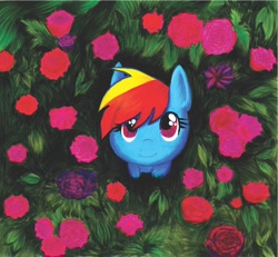 Size: 1024x946 | Tagged: safe, artist:wormologist, derpibooru import, rainbow dash, pegasus, pony, bust, flower, flower field, high angle, looking at you, looking up, portrait, rose, sitting, smiling, solo, traditional art