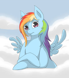 Size: 1500x1700 | Tagged: safe, artist:whiro153, rainbow dash, pegasus, pony, cloud, cloudy, solo