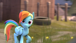 Size: 1920x1080 | Tagged: safe, artist:ferexes, derpibooru import, rainbow dash, pegasus, pony, 3d, grass, raised hoof, solo