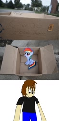 Size: 761x1545 | Tagged: safe, rainbow dash, oc, pegasus, pony, cardboard box, dashie meme, exploitable meme, meme, non-mlp oc