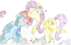 Size: 1024x655 | Tagged: safe, artist:shy-ladybug, derpibooru import, fluttershy, pinkie pie, rainbow dash, earth pony, pegasus, pony, blushing, female, floral head wreath, flutterdash, heart, lesbian, shipping