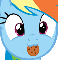 Size: 11060x11464 | Tagged: safe, artist:cyanlightning, derpibooru import, rainbow dash, pegasus, pony, .svg available, :3, absurd resolution, catface, close-up, cookie, cute, dashabetes, food, looking at you, rainbow dash is best facemaker, simple background, smiling, solo, transparent background, vector