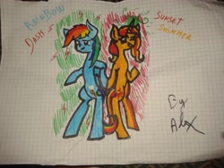 Size: 2560x1920 | Tagged: safe, artist:dark-alex38, rainbow dash, sunset shimmer, pegasus, pony, unicorn, duo, friendshipping, traditional art