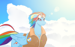 Size: 1080x675 | Tagged: safe, artist:shybaldur, derpibooru import, rainbow dash, pegasus, pony, bomber jacket, cloud, dog tags, frown, goggles, solo, sun, windswept mane, wonderbolts logo