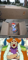 Size: 1320x2796 | Tagged: safe, rainbow dash, pegasus, pony, buggy the clown, dashie meme, evil people finding dash meme, exploitable meme, meme, one piece