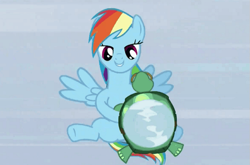 Size: 683x452 | Tagged: safe, derpibooru import, screencap, rainbow dash, tank, pegasus, pony, tanks for the memories, context is for the weak, not what it looks like, out of context