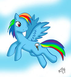 Size: 1024x1101 | Tagged: safe, artist:koku-chan, derpibooru import, rainbow dash, pegasus, pony, flying, signature, sky, solo, wondering